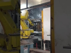 Zee/lucht/expressvervoer Gietgieten Houten kast/palletverpakking